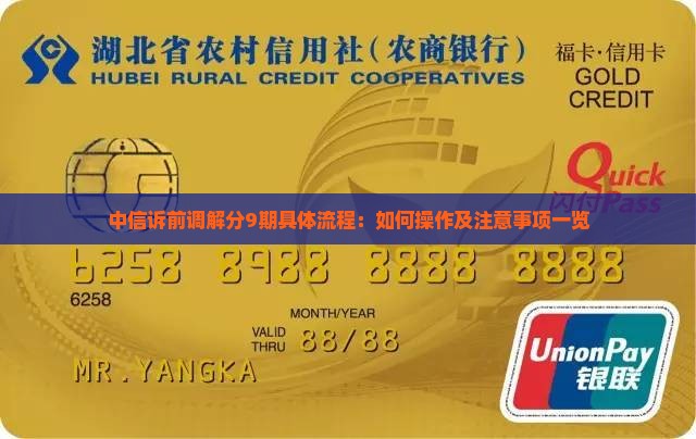 中信诉前调解分9期具体流程：如何操作及注意事项一览