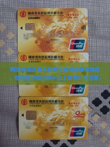 网贷逾期还款不起怎么咨询后果有哪些，借贷宝分期还款不还上会有什么结果，详细信息告诉你还不还款的严重性