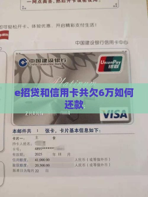e招贷和信用卡共欠6万如何还款