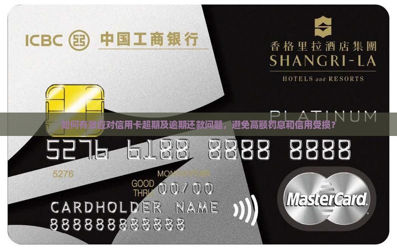 如何有效应对信用卡超期及逾期还款问题，避免高额罚息和信用受损？