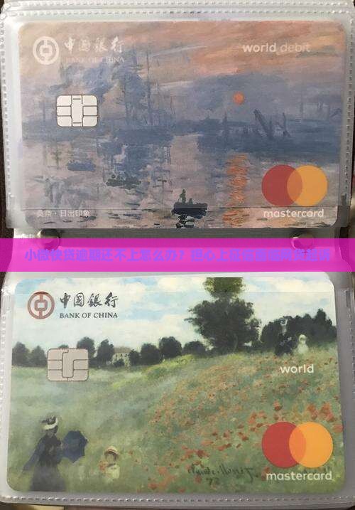 小微快贷逾期还不上怎么办？担心上征信面临网贷起诉