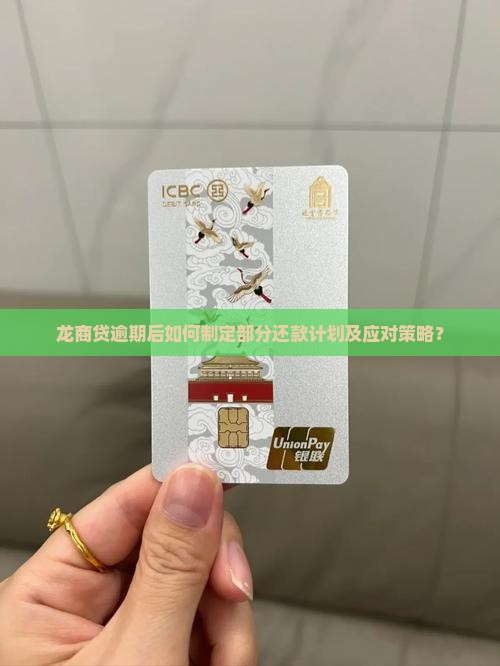 龙商贷逾期后如何制定部分还款计划及应对策略？
