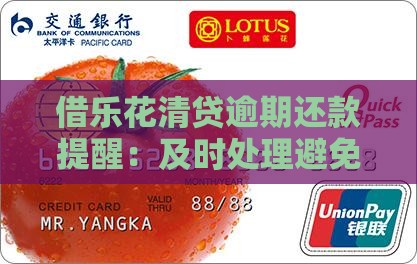 借乐花清贷逾期还款提醒：及时处理避免后果