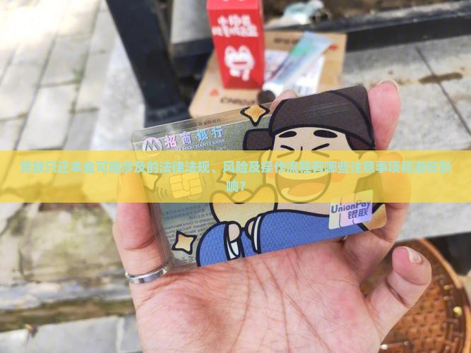 贷款只还本金可能涉及的法律法规、风险及操作流程有哪些注意事项和潜在影响？