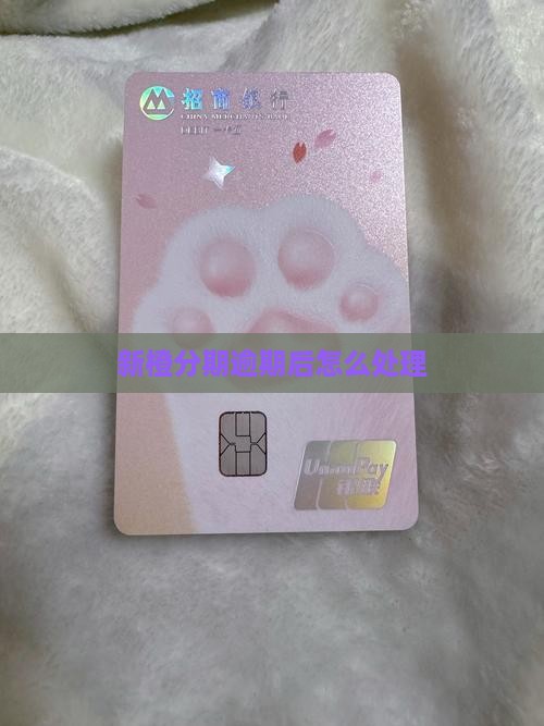 新橙分期逾期后怎么处理