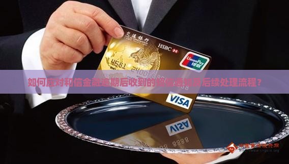 如何应对和信金融逾期后收到的短信通知及后续处理流程？