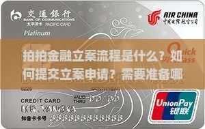 拍拍金融立案流程是什么？如何提交立案申请？需要准备哪些材料？