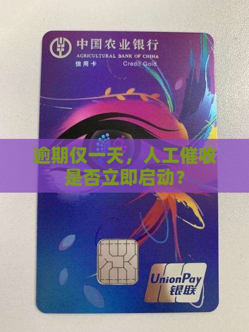 逾期仅一天，人工催收是否立即启动？