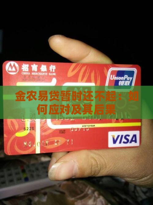 金农易贷暂时还不起：如何应对及其后果