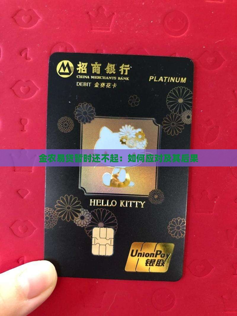 金农易贷暂时还不起：如何应对及其后果