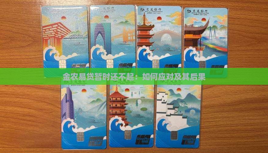金农易贷暂时还不起：如何应对及其后果
