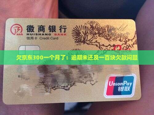 欠京东300一个月了：逾期未还及一百块欠款问题