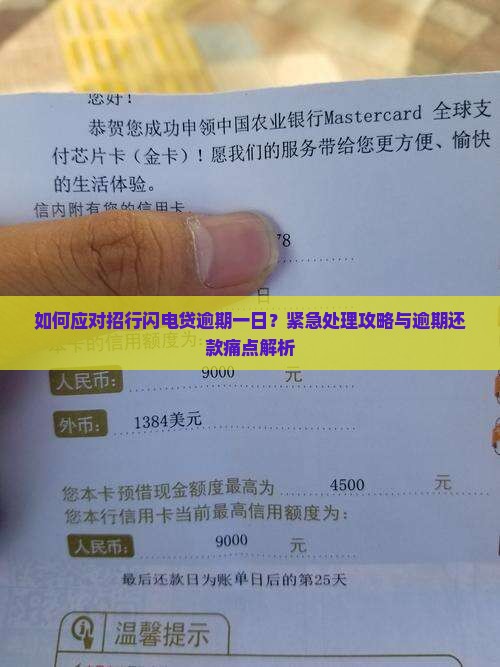 如何应对招行闪电贷逾期一日？紧急处理攻略与逾期还款痛点解析