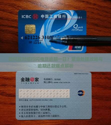 如何应对招行闪电贷逾期一日？紧急处理攻略与逾期还款痛点解析