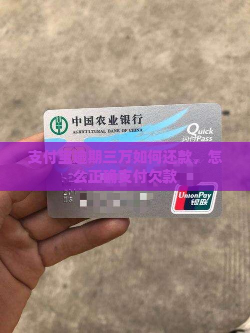 支付宝逾期三万如何还款，怎么正确支付欠款