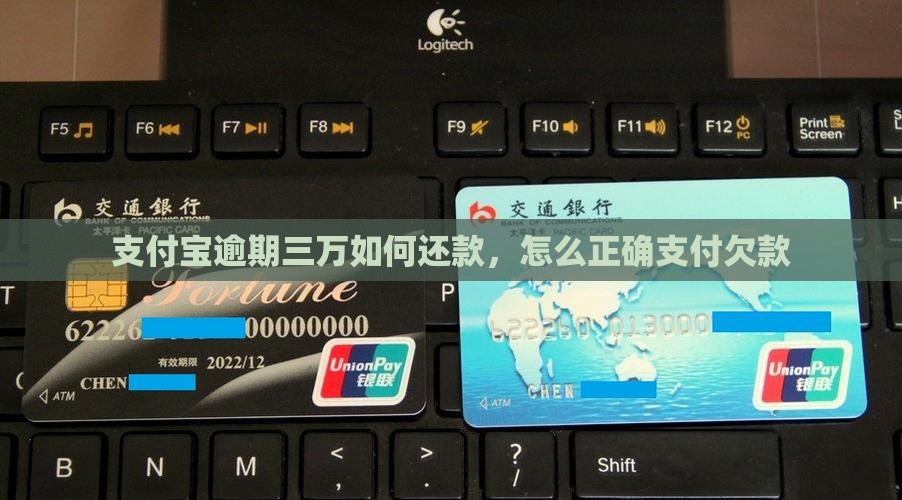 支付宝逾期三万如何还款，怎么正确支付欠款
