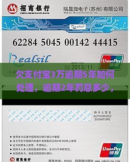 欠支付宝3万逾期5年如何处理，逾期2年罚息多少，逾期1年后果及对孩子影响，欠款逾期两年还款额合理性探讨