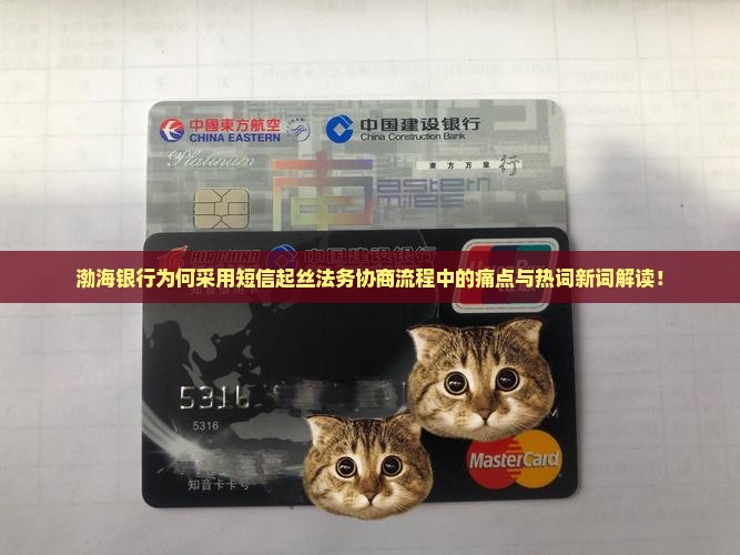 渤海银行为何采用短信起丝法务协商流程中的痛点与热词新词解读！
