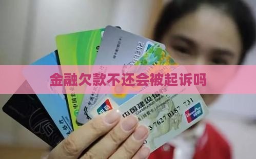 金融欠款不还会被起诉吗