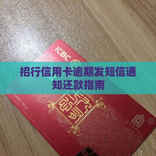 招行信用卡逾期发短信通知还款指南