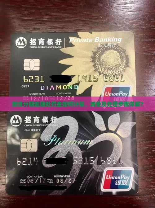 新浪分期逾期处罚金如何计算、减免及处理步骤详解？
