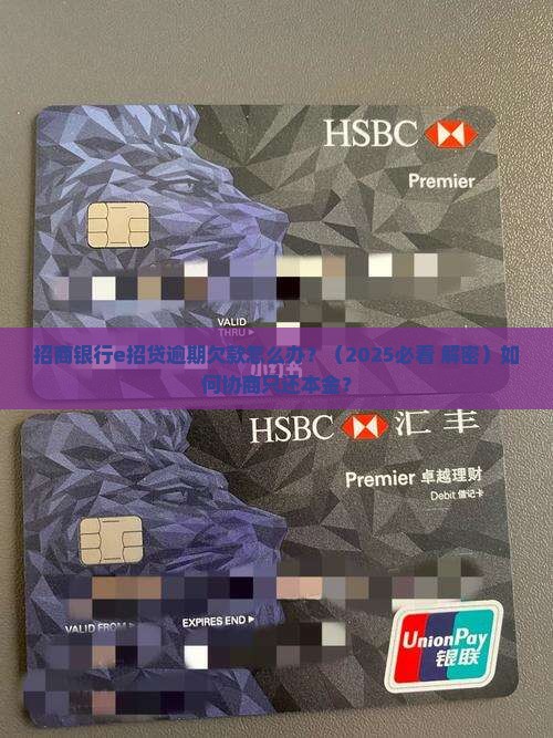 招商银行e招贷逾期欠款怎么办