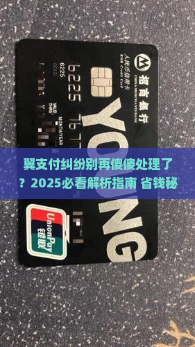 翼支付纠纷处理指南