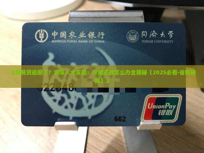 居易贷还不起