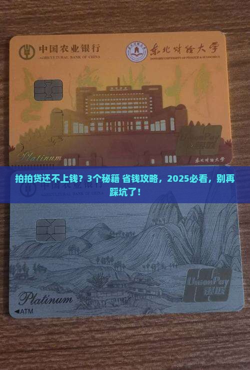 拍拍贷不能协商还钱怎么办