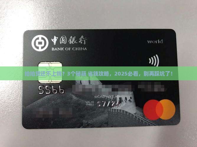 拍拍贷不能协商还钱怎么办