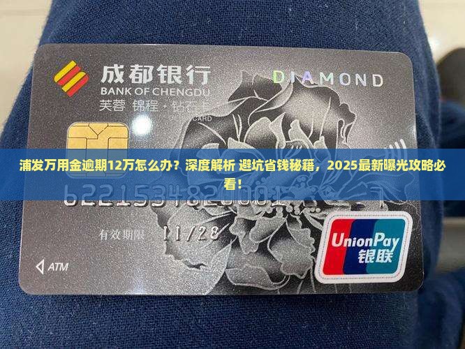浦发万用金逾期12万怎么办