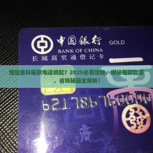 接到维信金科催款怎么办