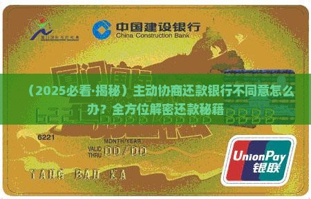 主动协商还款银行不同意怎么办