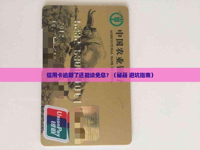 信用卡逾期可否协商免息