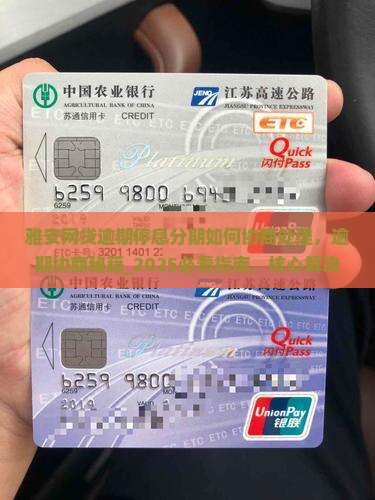 雅安网贷逾期停息分期如何协商处理