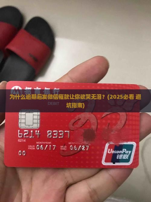 因为逾期发微信催款