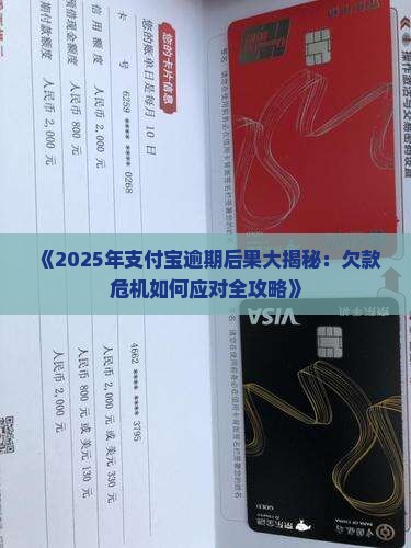 欠支付宝的钱后果是什么应该如何应对 欠支付宝的钱后果是什么应该如何应对