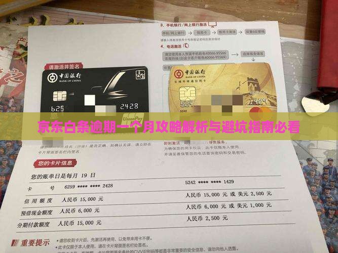 京东白条可逾期逾期一个月