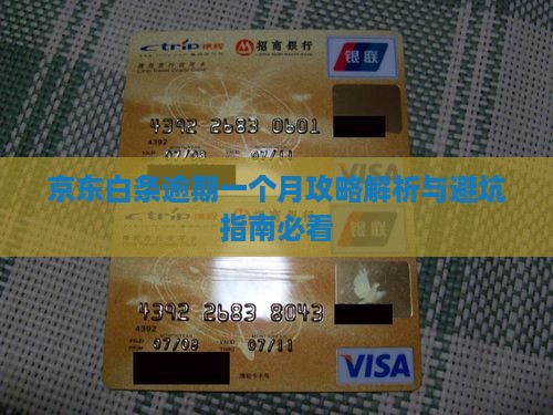 京东白条可逾期逾期一个月
