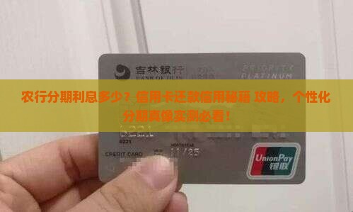农业银行个性化分期还款利息计算方式详解 农业银行个性化分期还款利息计算方式详解