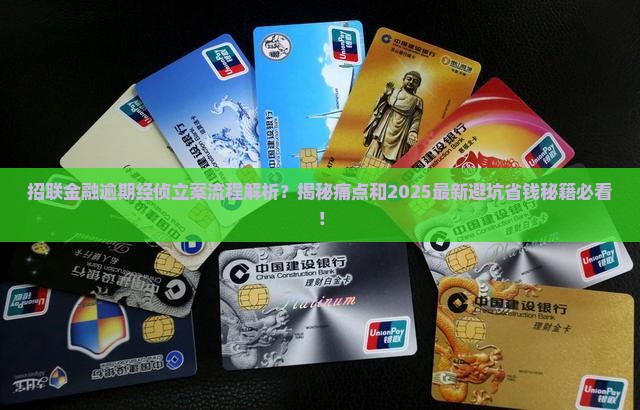 招联金融逾期经侦立案流程详解