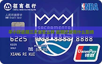 羊小咩逾期三天会怎么样还款会有什么影响