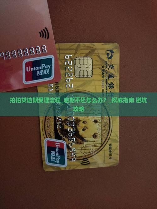拍拍贷逾期受理流程