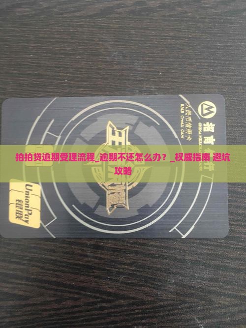 拍拍贷逾期受理流程