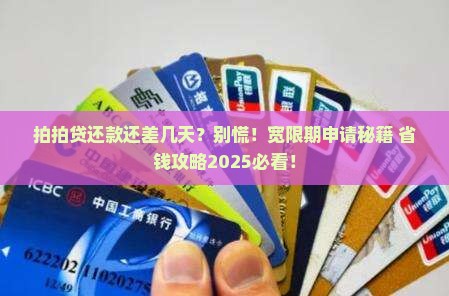 拍拍贷是否有宽限期如何申请