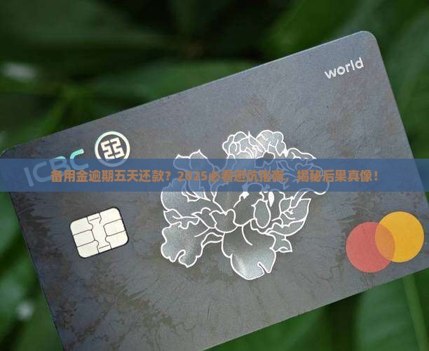 备用金逾期五天还款会怎么样