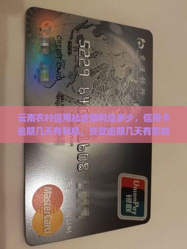 云南农村信用社逾期利息多少