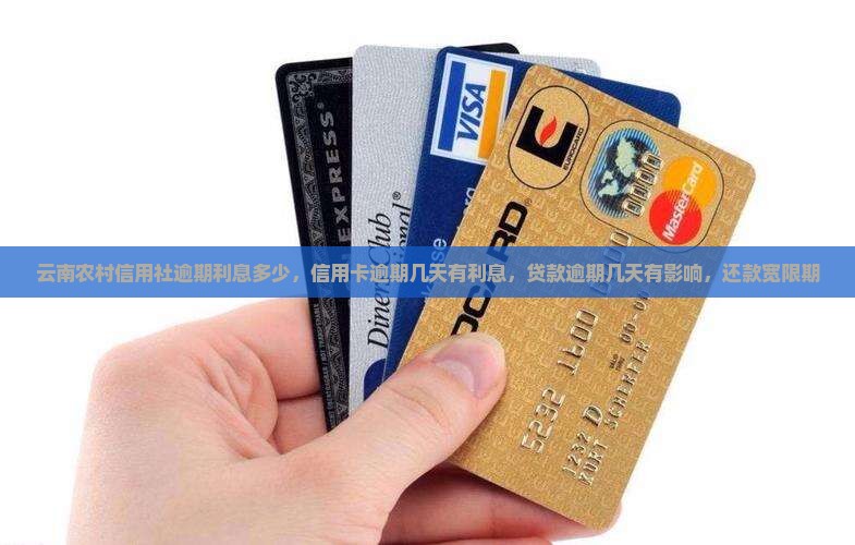 云南农村信用社逾期利息多少