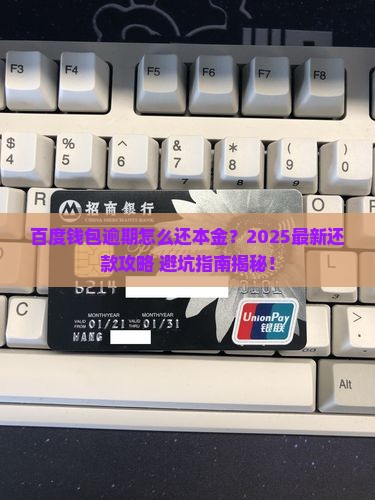 百度钱包逾期怎么还本金