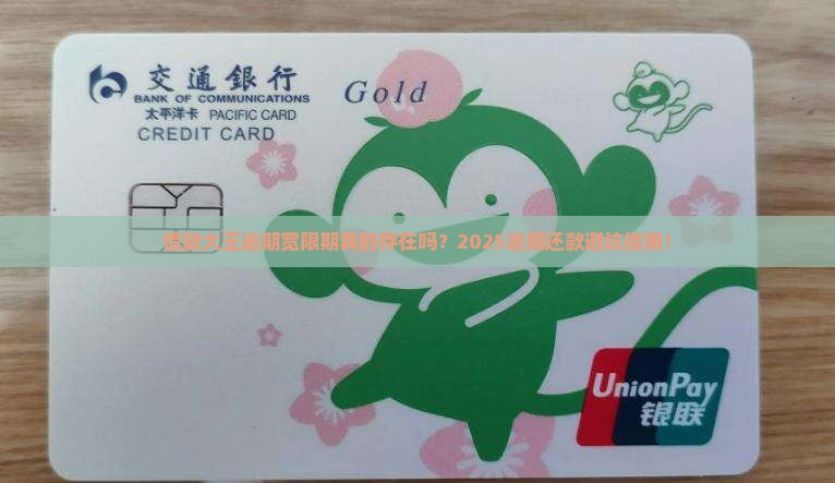 借款大王逾期宽限期规定
